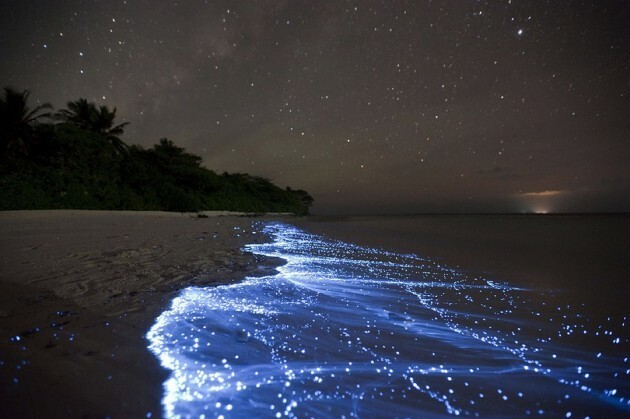 10. Биолюминесцентный пляж — Ваадху, Мальдивские острова