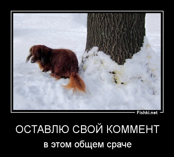 Оставлю свой коммент