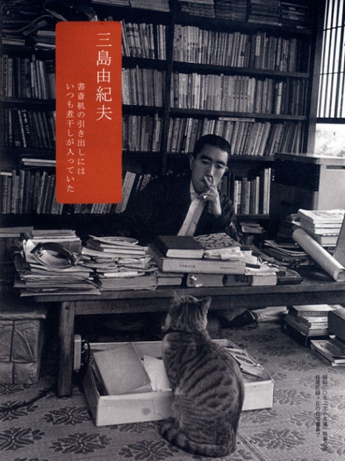 Знаменитый японский писатель и драматург Юкио Миссима под надзором своего кота