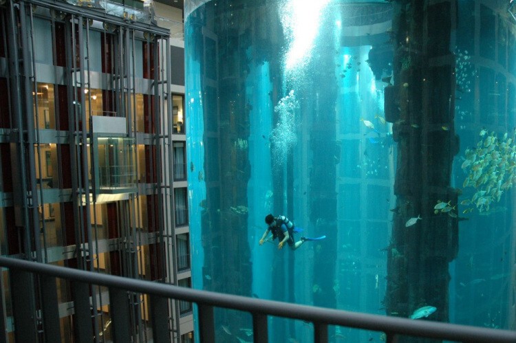 Водный цилиндр с рыбами и аквалангистом – это «всего лишь» шахта лифта в берлинском отеле Рэдиссон Блу. Да-да, внутри этого аквариума вверх-вниз ездит лифт!