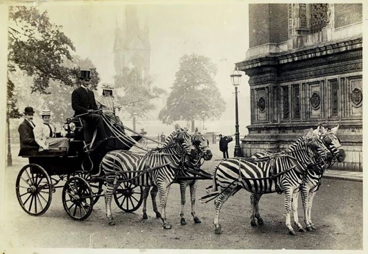 Самый экзотичный лондонский экипаж, 1894 год