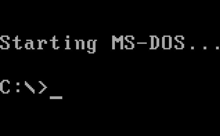 Успех: MS-DOS (1981)