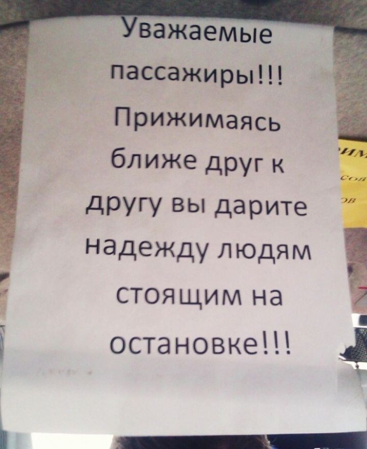 15 добрых объявлений, вселяющих надежду