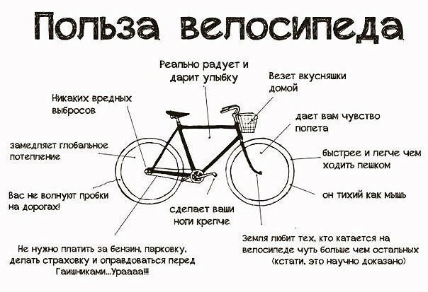 Польза от велосипеда 