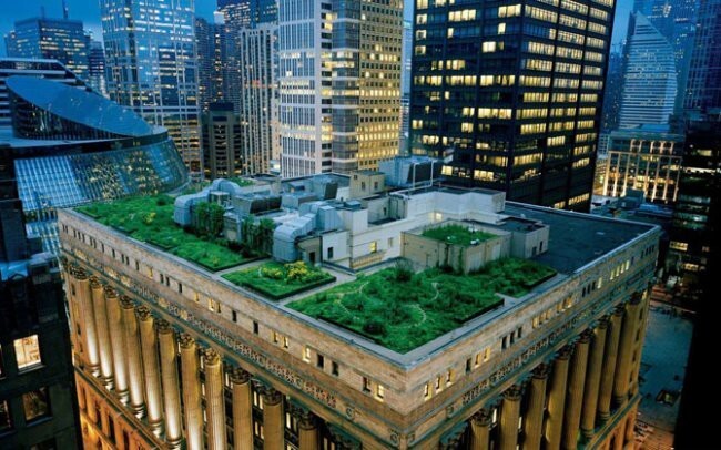 Сад, здание мэрии Чикаго
