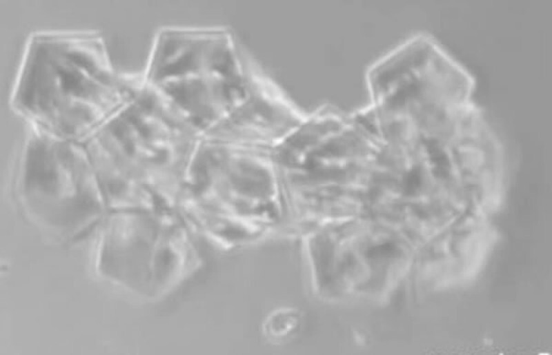 Микроскопическое оригами