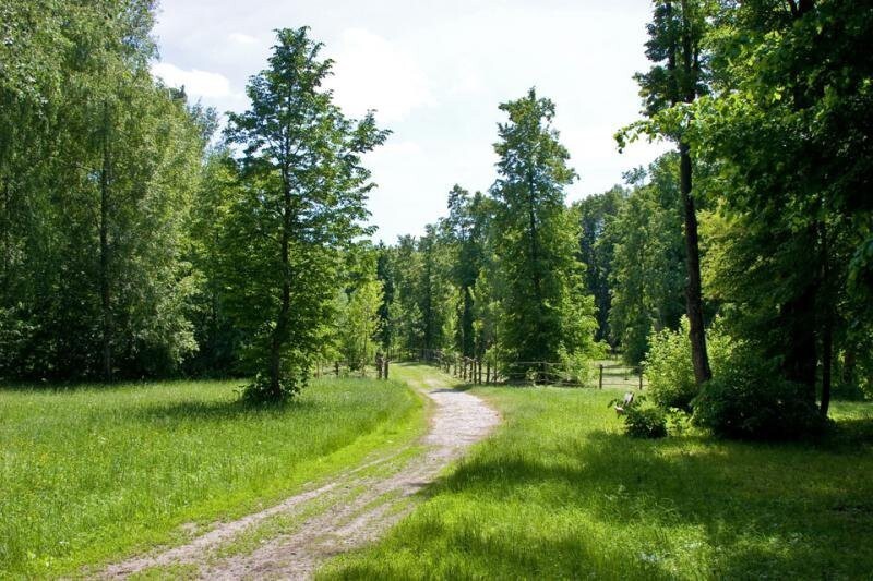 Марьино,Курская область