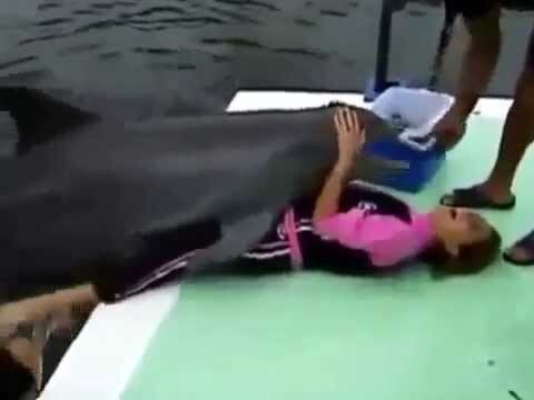 Дельфин насилует девушку 