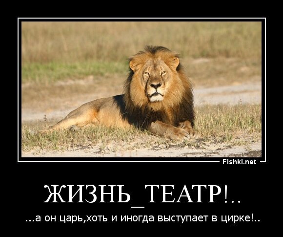жизнь_театр!..