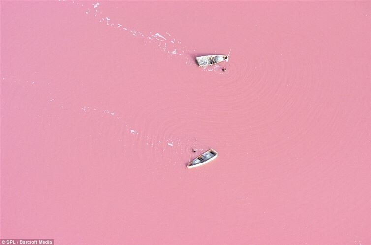 9. Розовая река