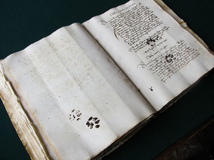 И даже этот документ, созданный 11 марта 1445 года, не избежал кошачьих лапок!