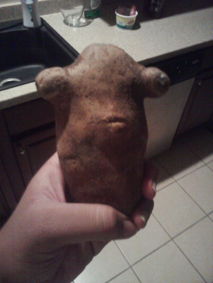 Забавная картошка