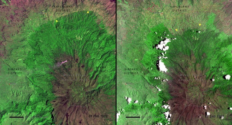 7. Вырубка леса в национальном парке Маунт-Элгон, Уганда. Слева: 1973 год, справа: 2005 год 