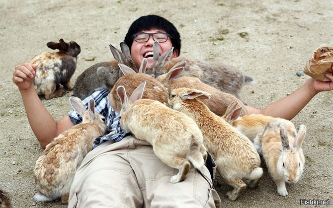 Турист на острове кроликов в Японии