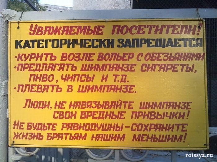 Без слов