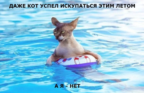 Немного Котэ