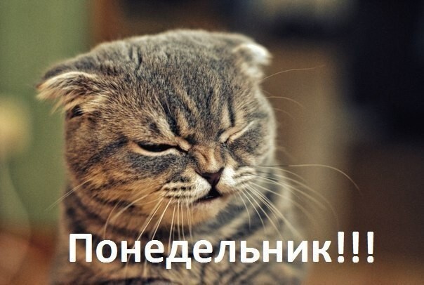 Понедельник!!!