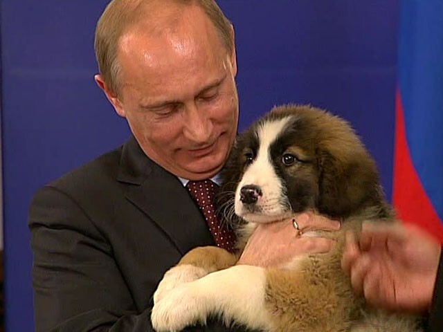 Владимир Владимирович Путин и звери