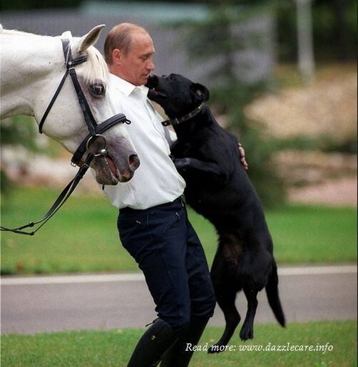 Владимир Владимирович Путин и звери