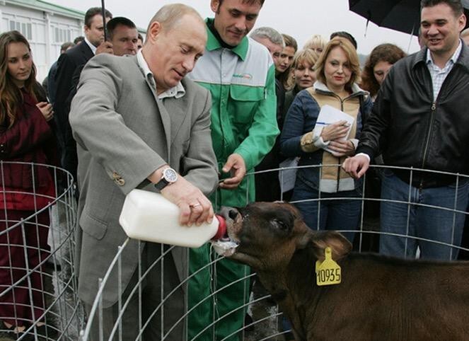 Владимир Владимирович Путин и звери