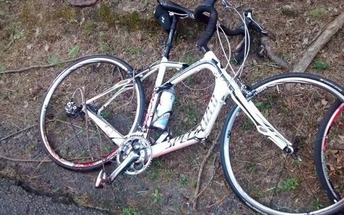 Велосипедист сбил оленя