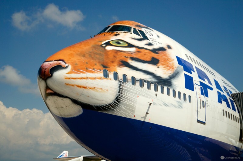 Тигр - 747