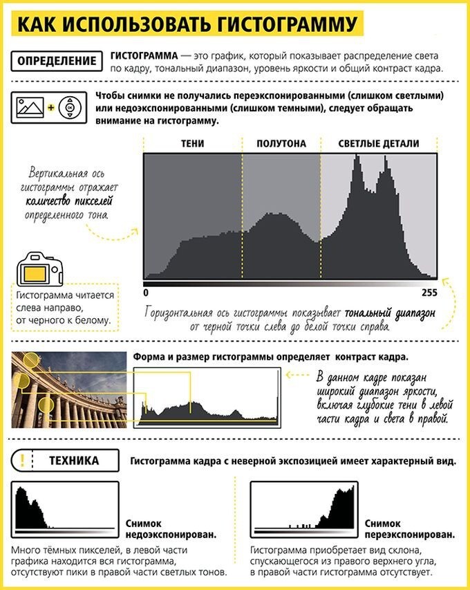 Абсолютно всё, что нужно знать новичкам и любителям о фотографии