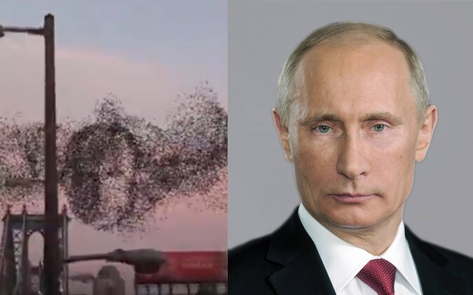 В небе над Нью-Йорком увидели портрет Путина