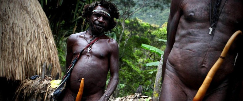Знакомьтесь, это племя Дани, люди входящие в него населяют балиемскую долину в индонезийской части Новой Гвинеи.
