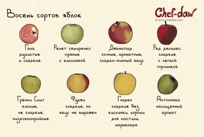 8. Сорта яблок