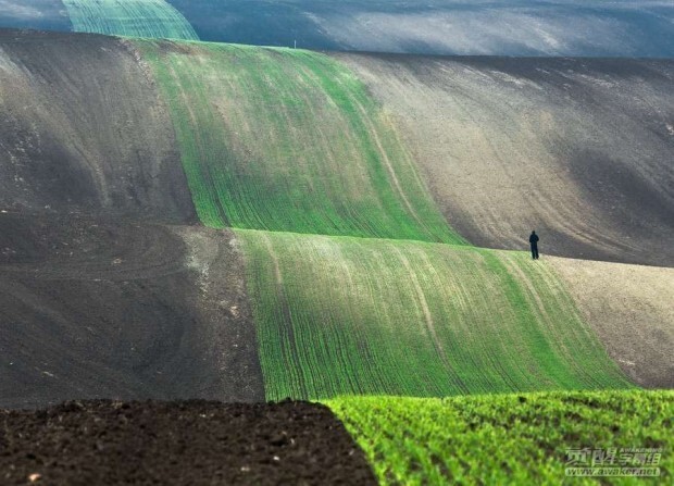 19  фотографий, доказывающих, что человек — песчинка в этом мире