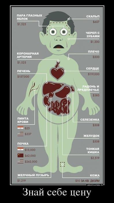 Демотиваторы