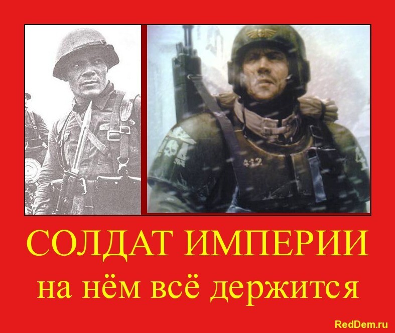 RedDem  (Красная солянка).