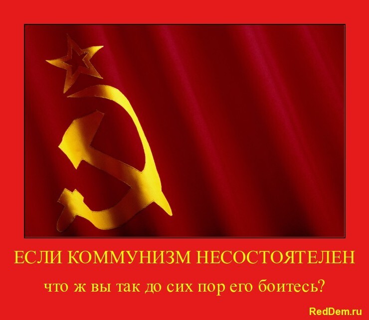 RedDem  (Красная солянка).
