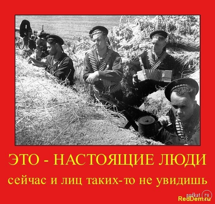 RedDem  (Красная солянка).