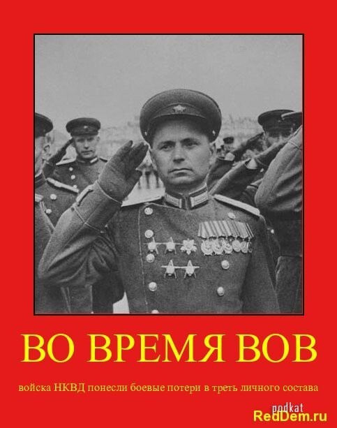 RedDem  (Красная солянка).