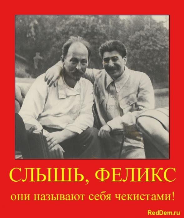 RedDem  (Красная солянка).