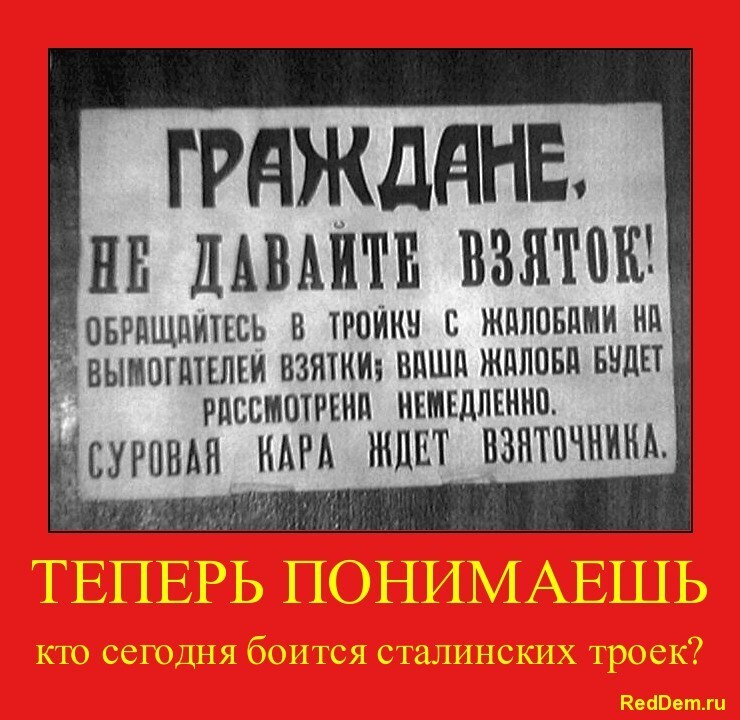 RedDem  (Красная солянка).
