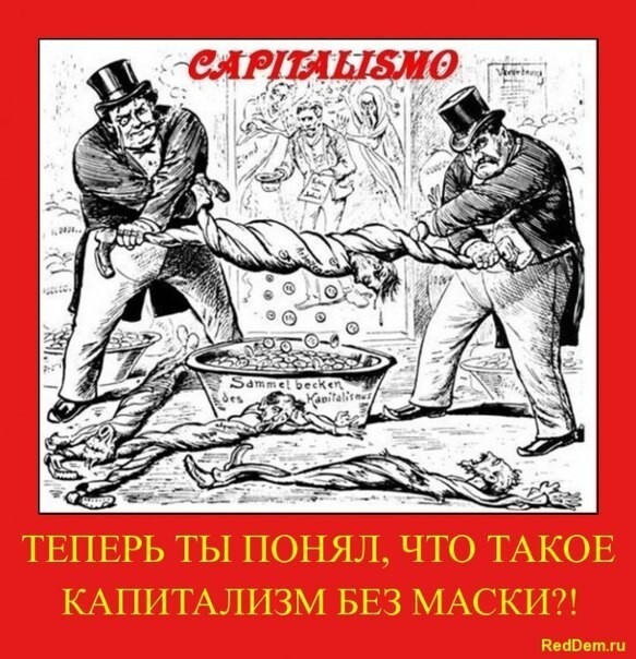RedDem  (Красная солянка).