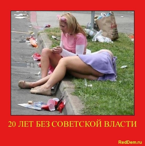 RedDem  (Красная солянка).