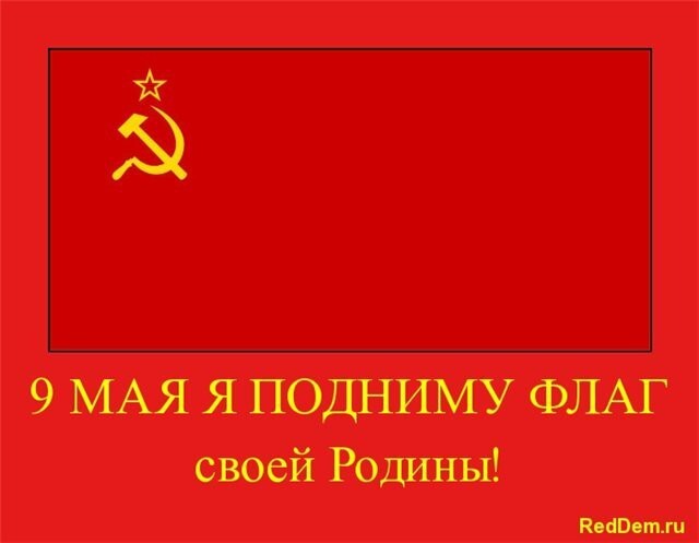 RedDem  (Красная солянка).