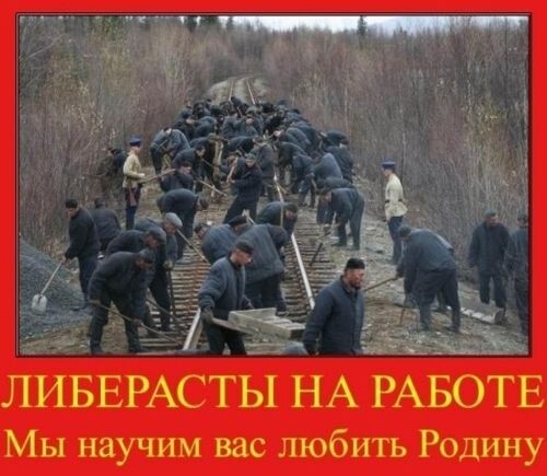 RedDem  (Красная солянка).