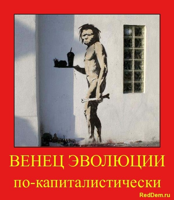 RedDem  (Красная солянка).