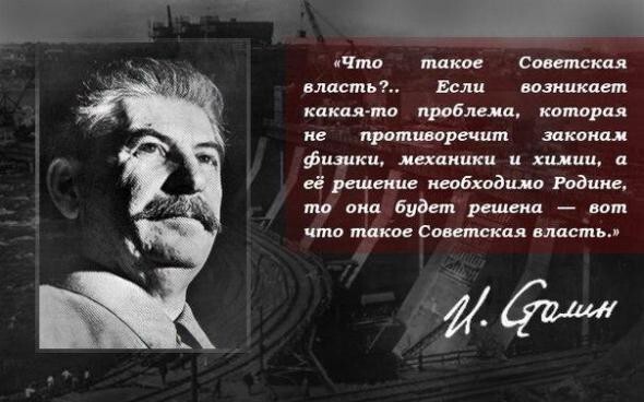 RedDem  (Красная солянка).