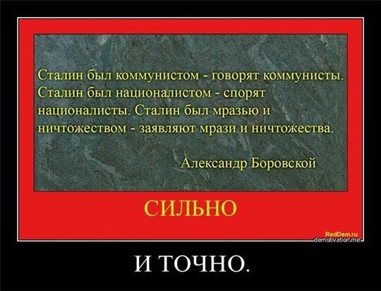 RedDem  (Красная солянка).