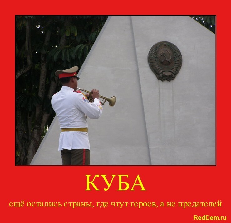 RedDem  (Красная солянка).