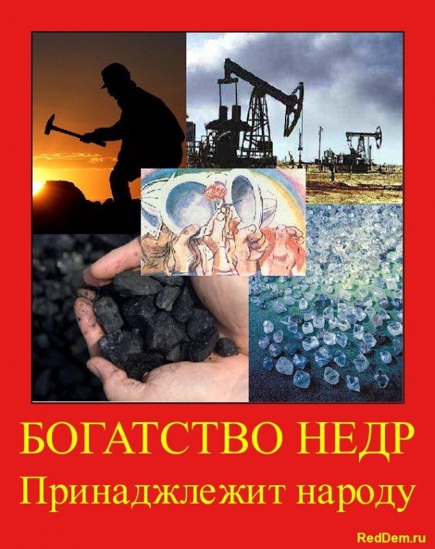 RedDem  (Красная солянка).