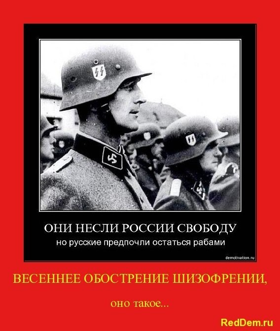 RedDem  (Красная солянка).