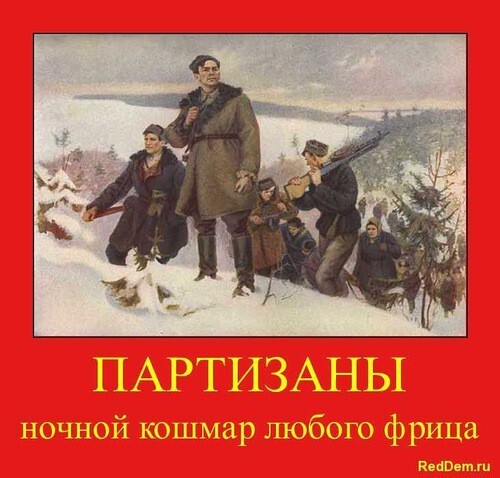 RedDem  (Красная солянка).