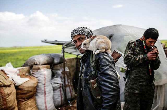 Сирийский пешмерга с кроликом на плече